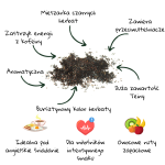 English Breakfast herbata luźna liściasta..png