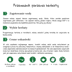 parzenie herbaty zielonej w torebkach..png