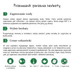 parzenie herbaty zielonej w torebkach...png