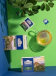 +Green_2_34.jpg