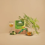 Evergreen 6x10.jpg