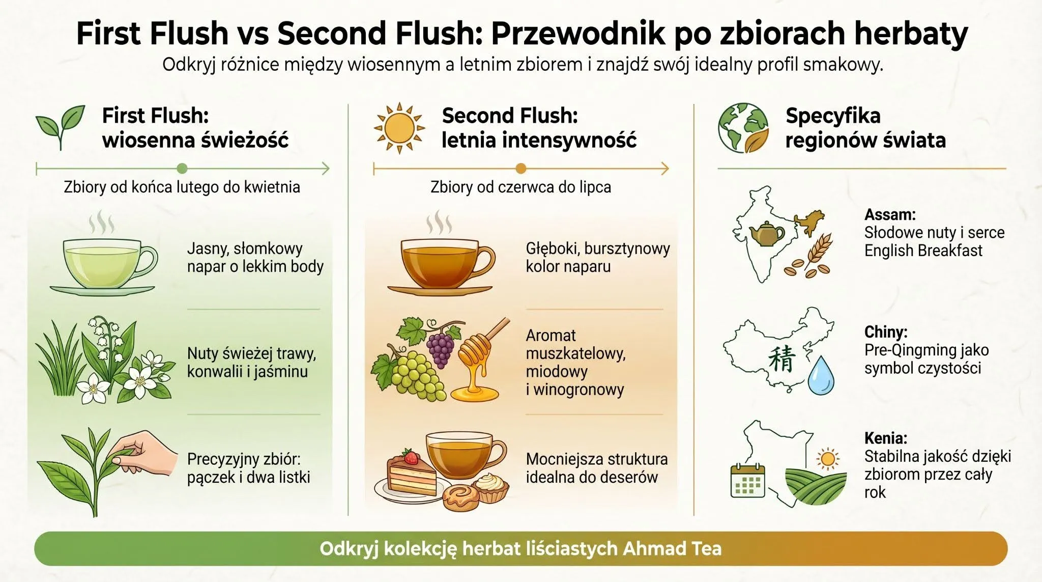 First Flush vs Second Flush - przewodnik po zbiorach herbaty